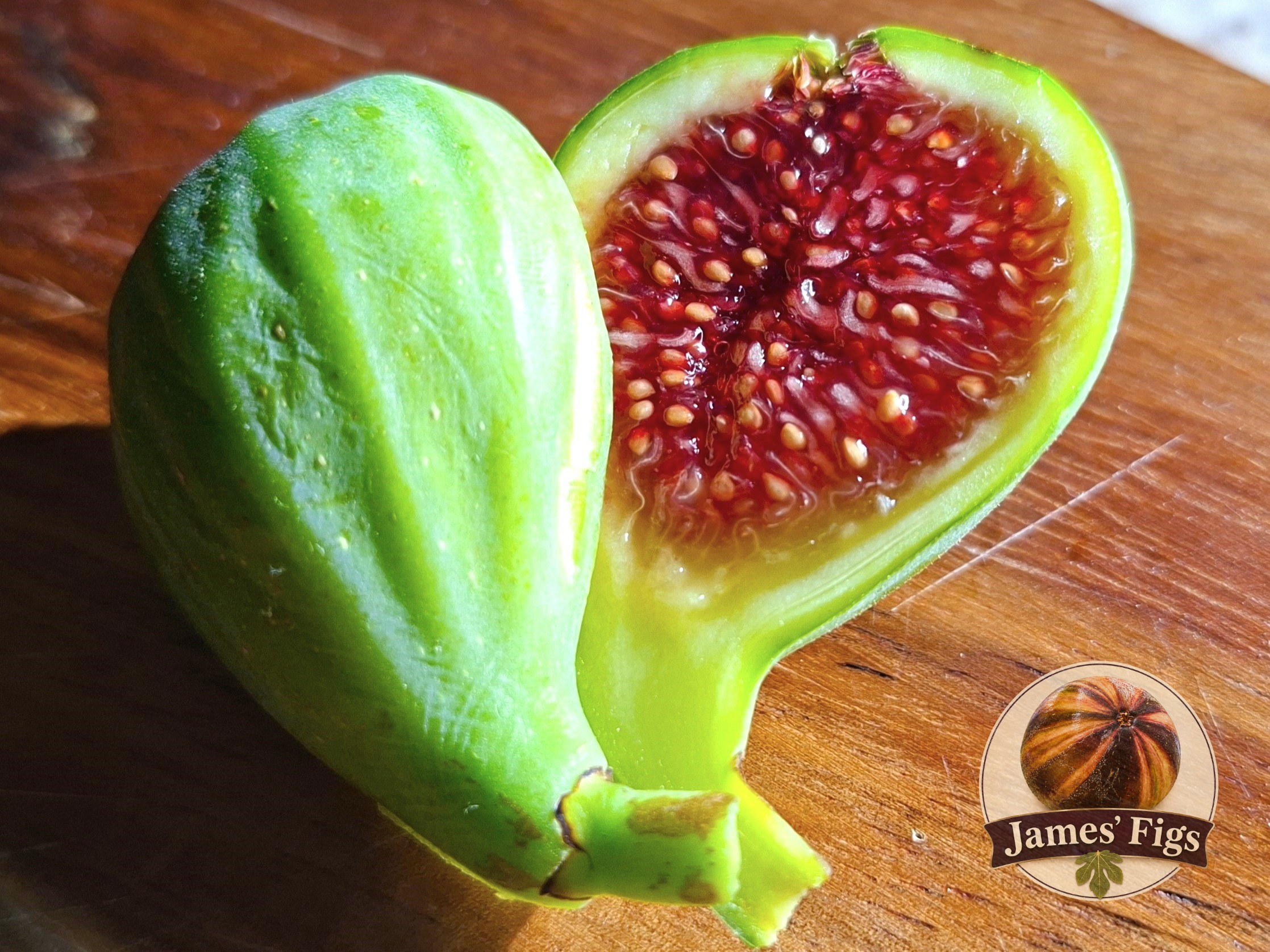 Angelito figs