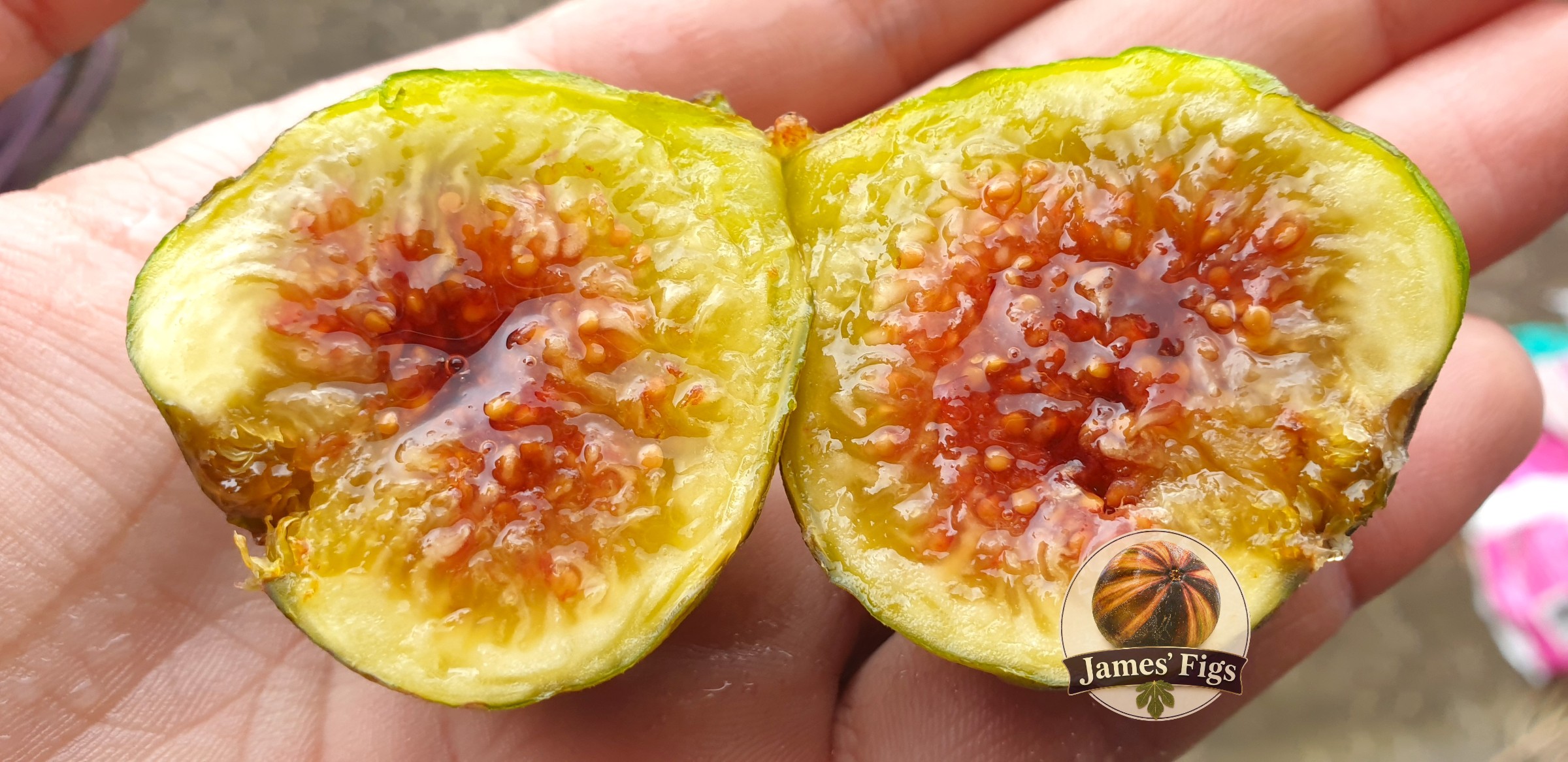 Barada figs