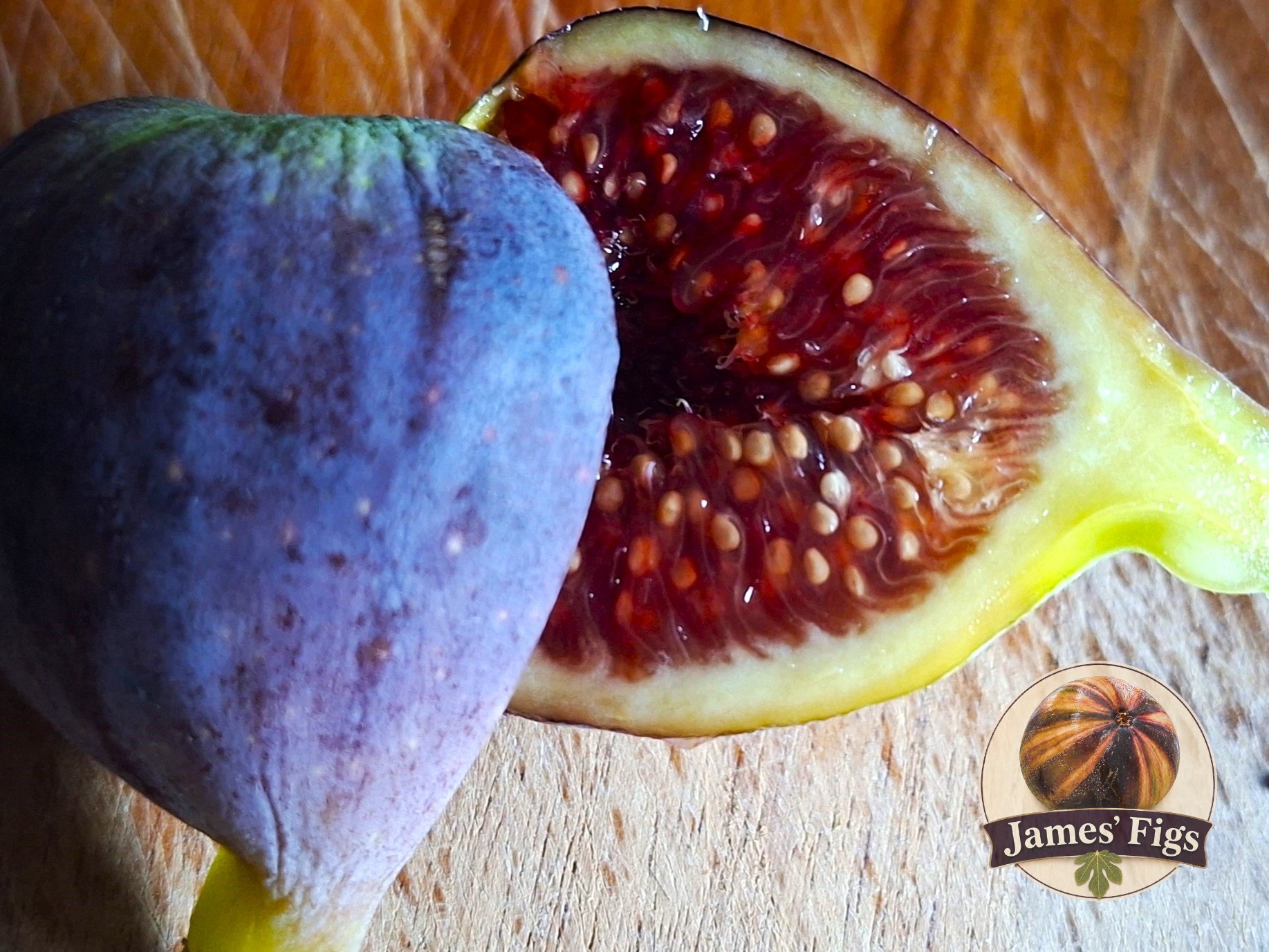Borda Barraquer (MP) figs