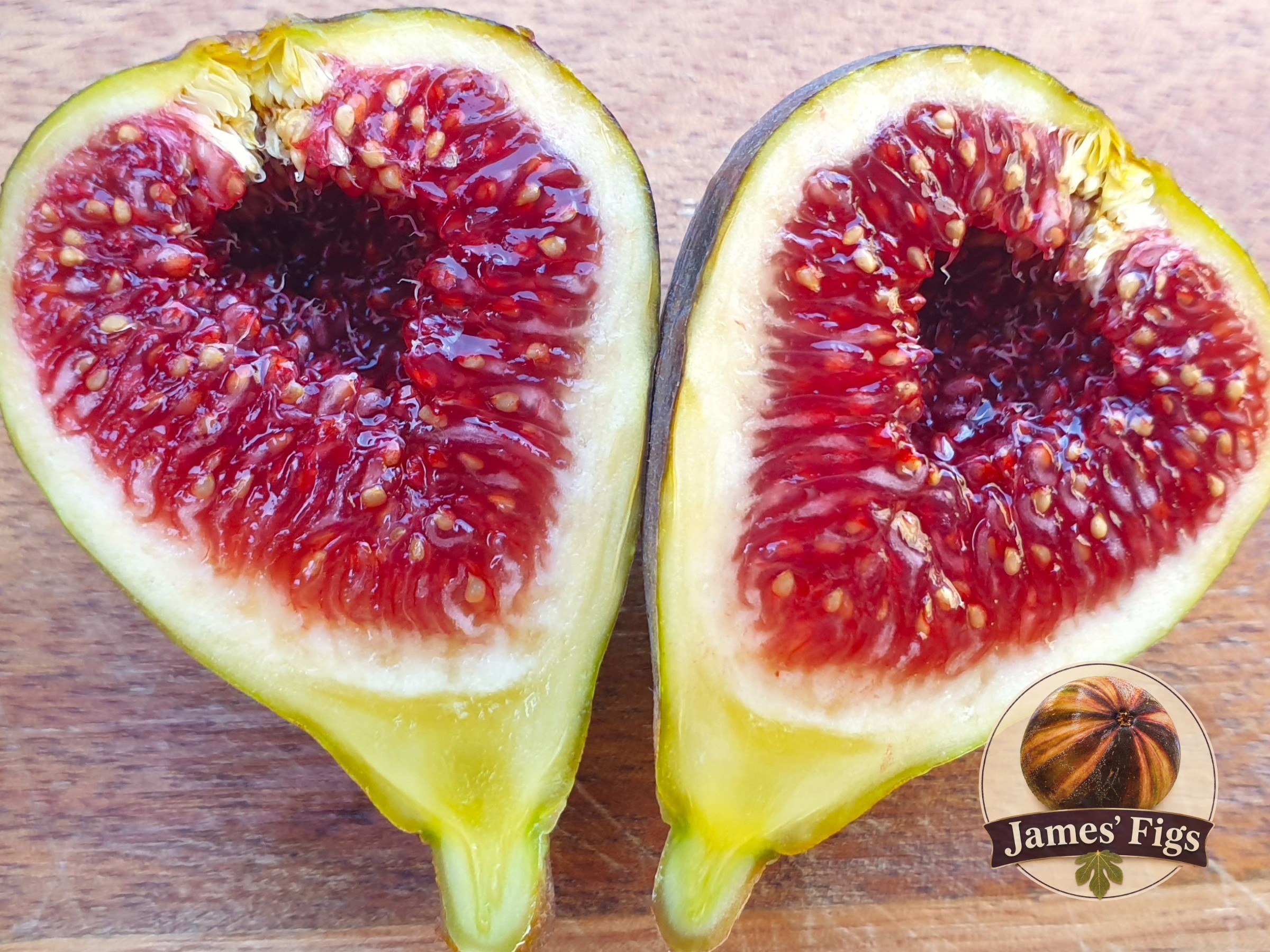 Bourjasotte Grise figs