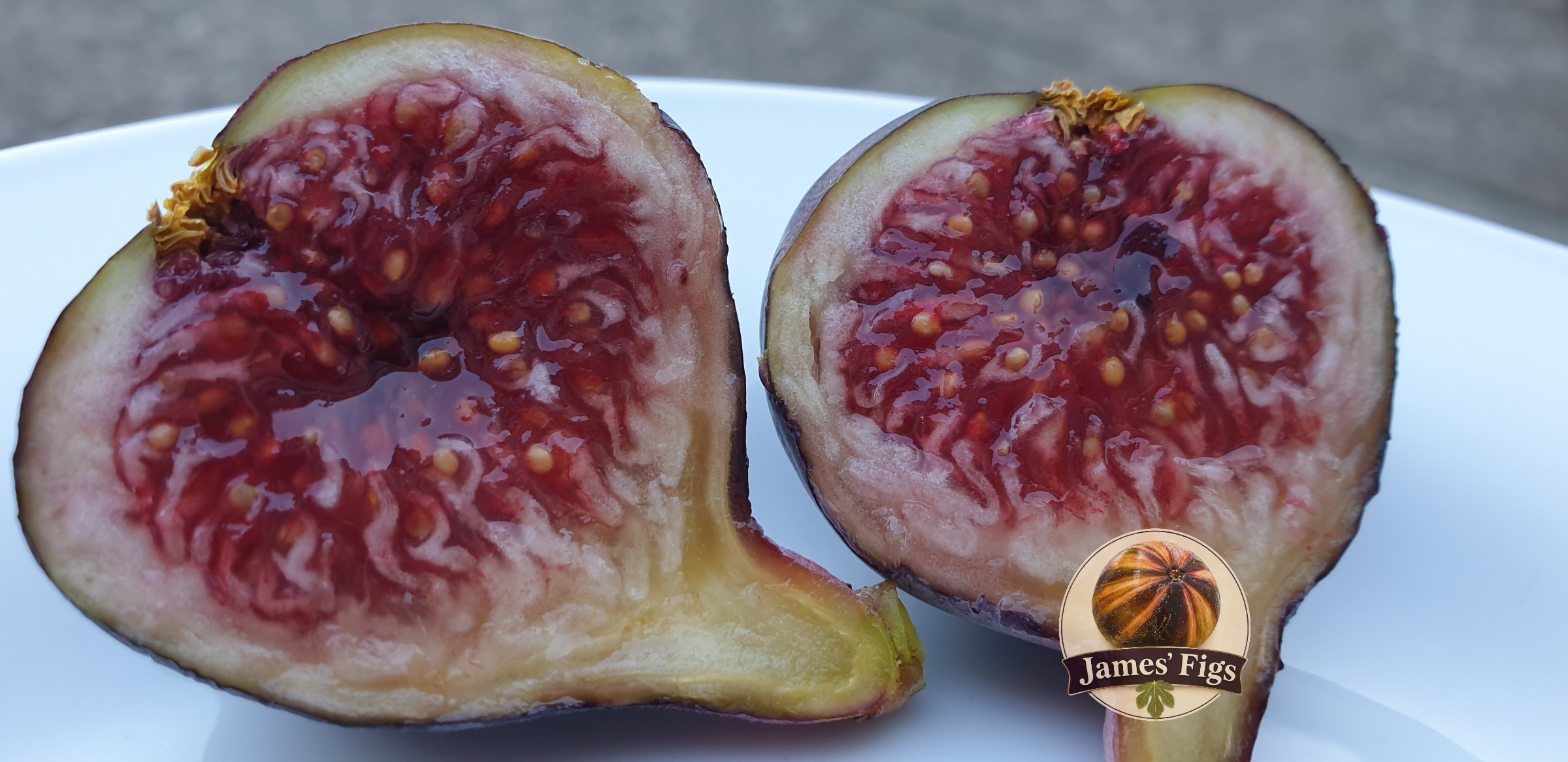 Brogiotto Nero (George) figs