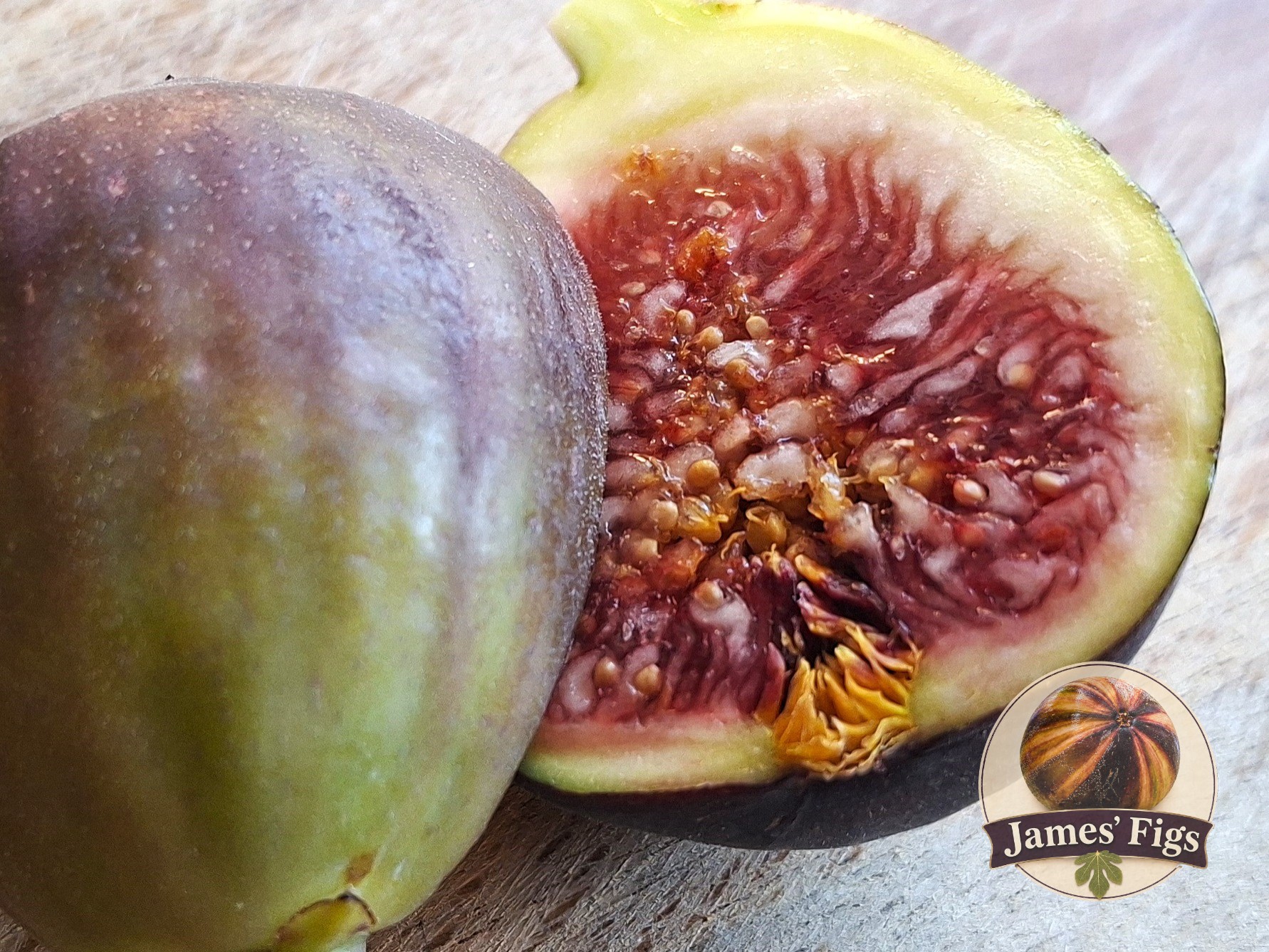 Burgan Unk figs
