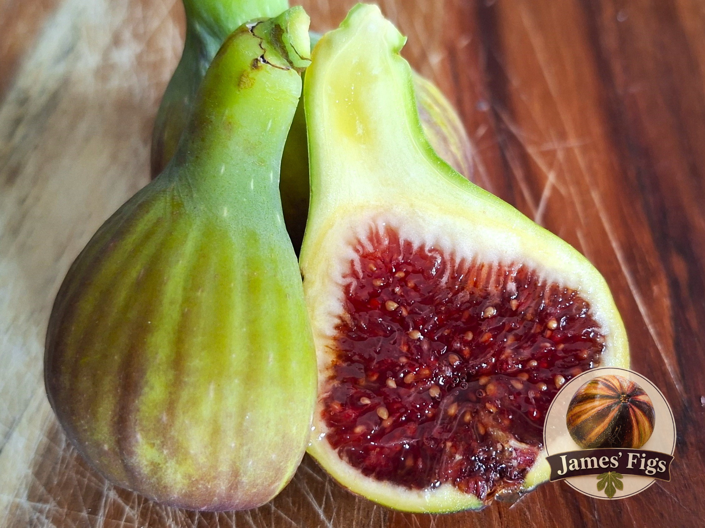 Col De Dame Grise (Baud) figs