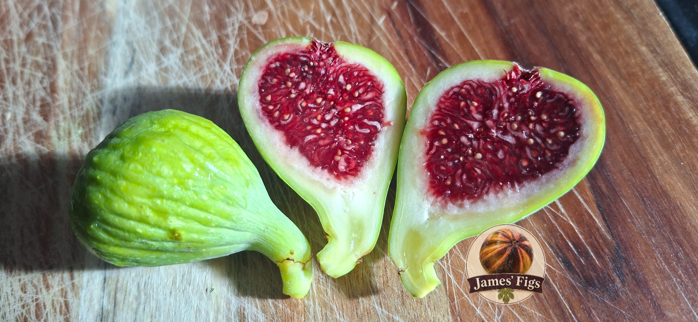 Coll De Dama Mutante (Reverted) figs