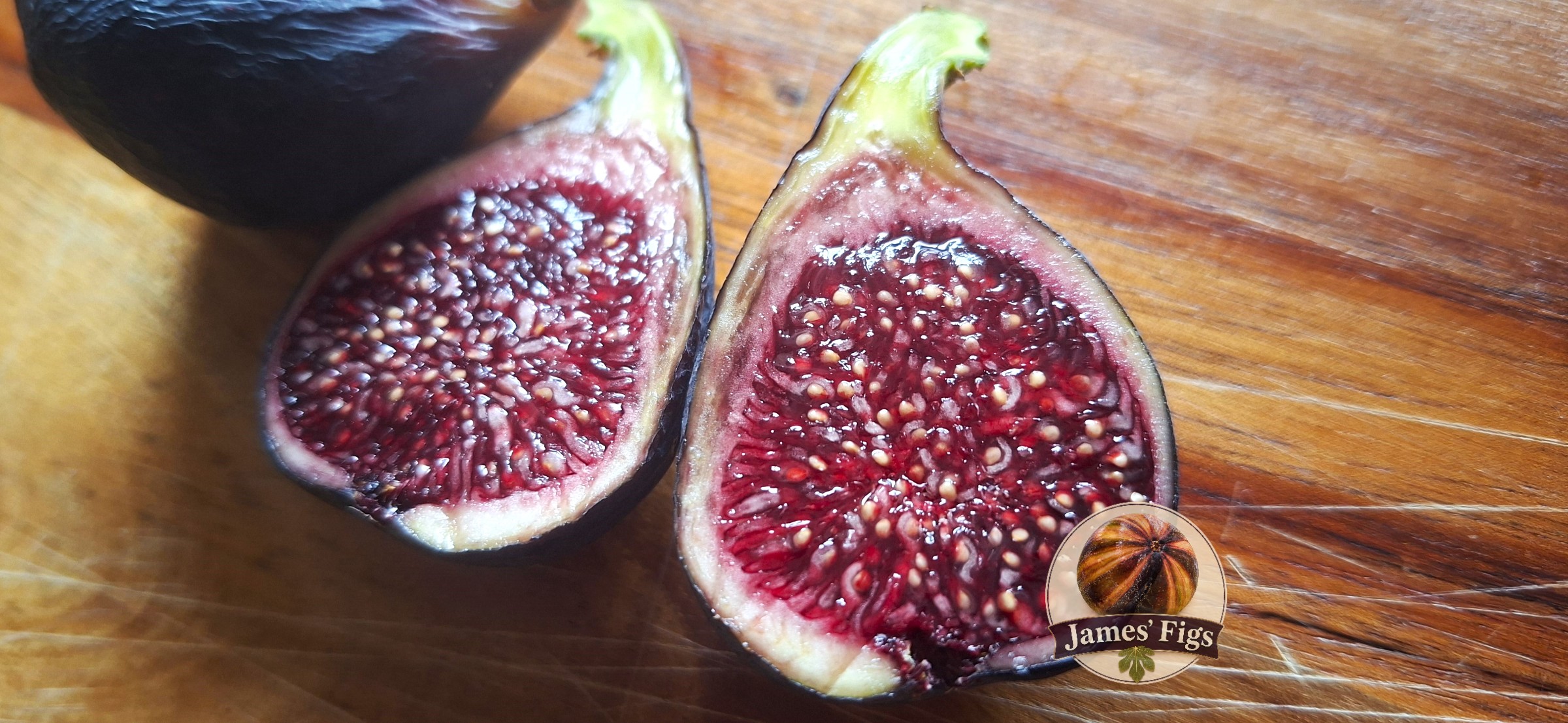 Colonel Littmans Black Cross figs