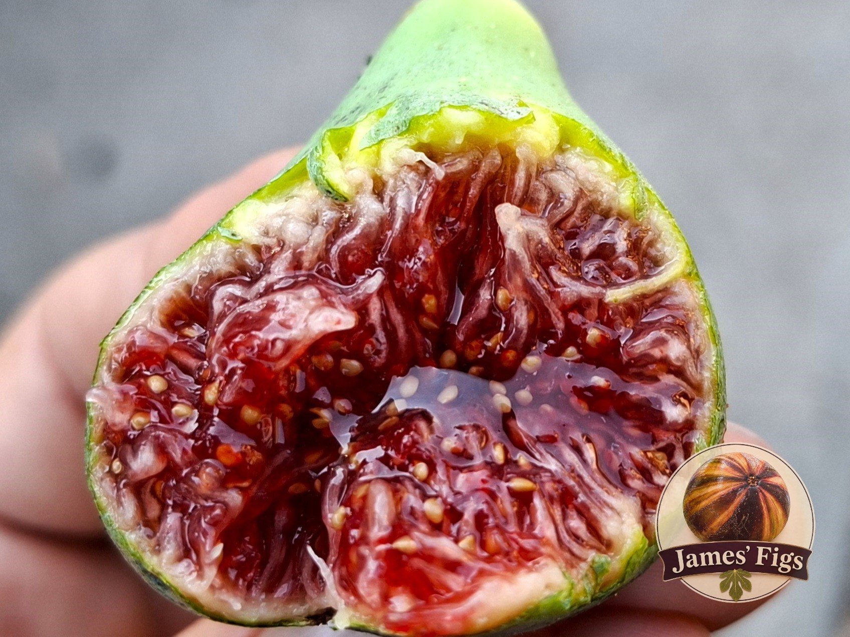 Cosme Manyo (MP) figs