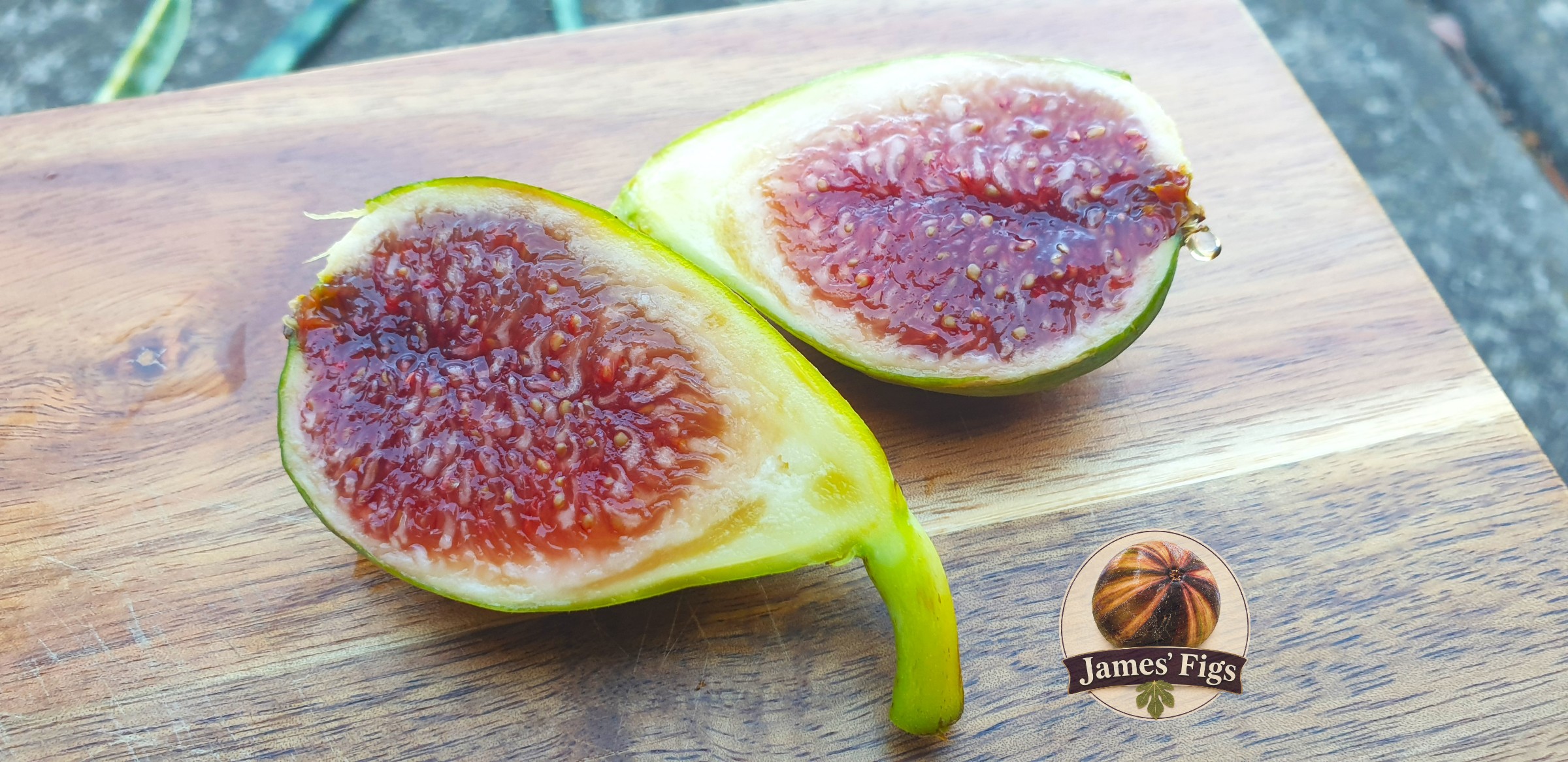 De La Senyora Hivernenca figs