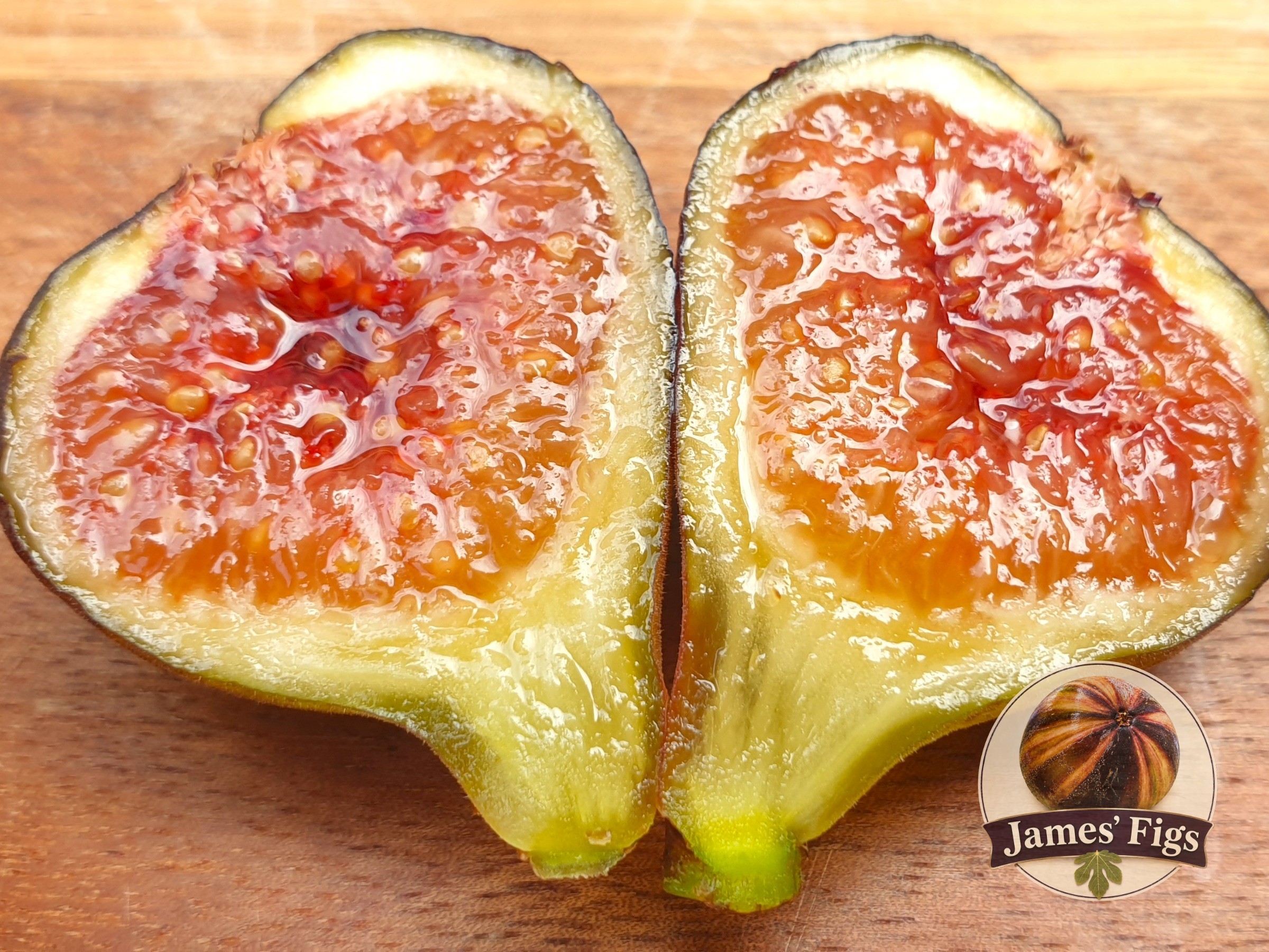 De Tres Esplets (MP) figs