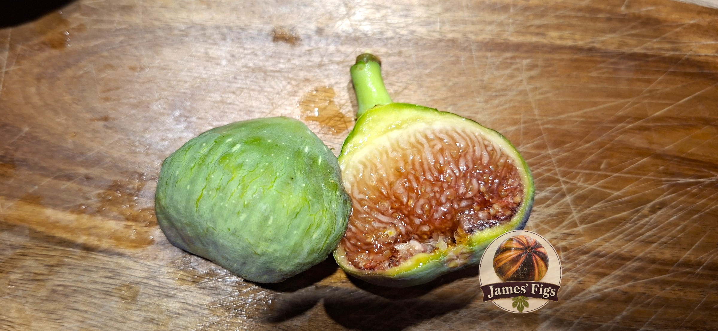 Del Sen Juame Gran (MP) figs