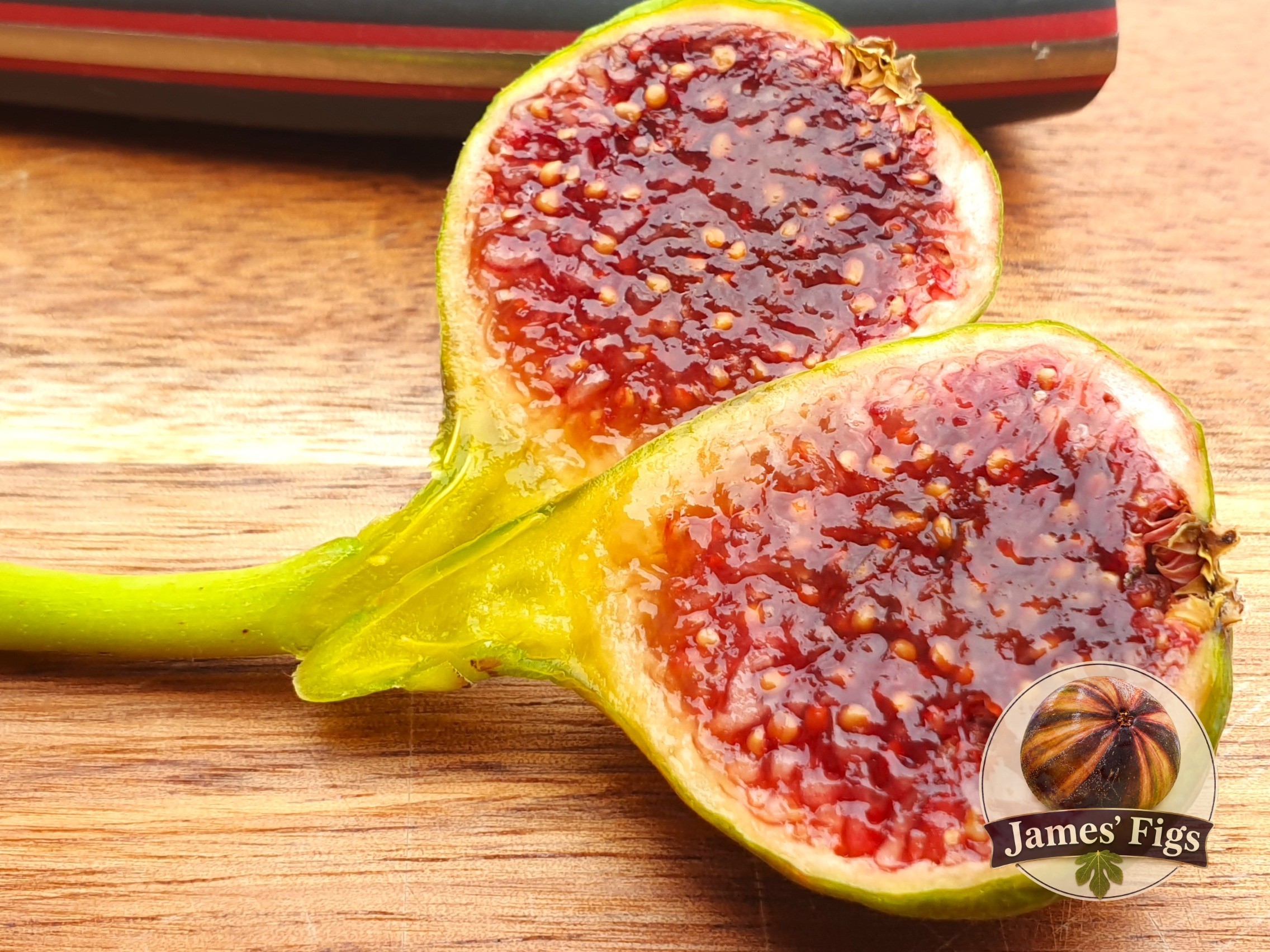 Figoin figs