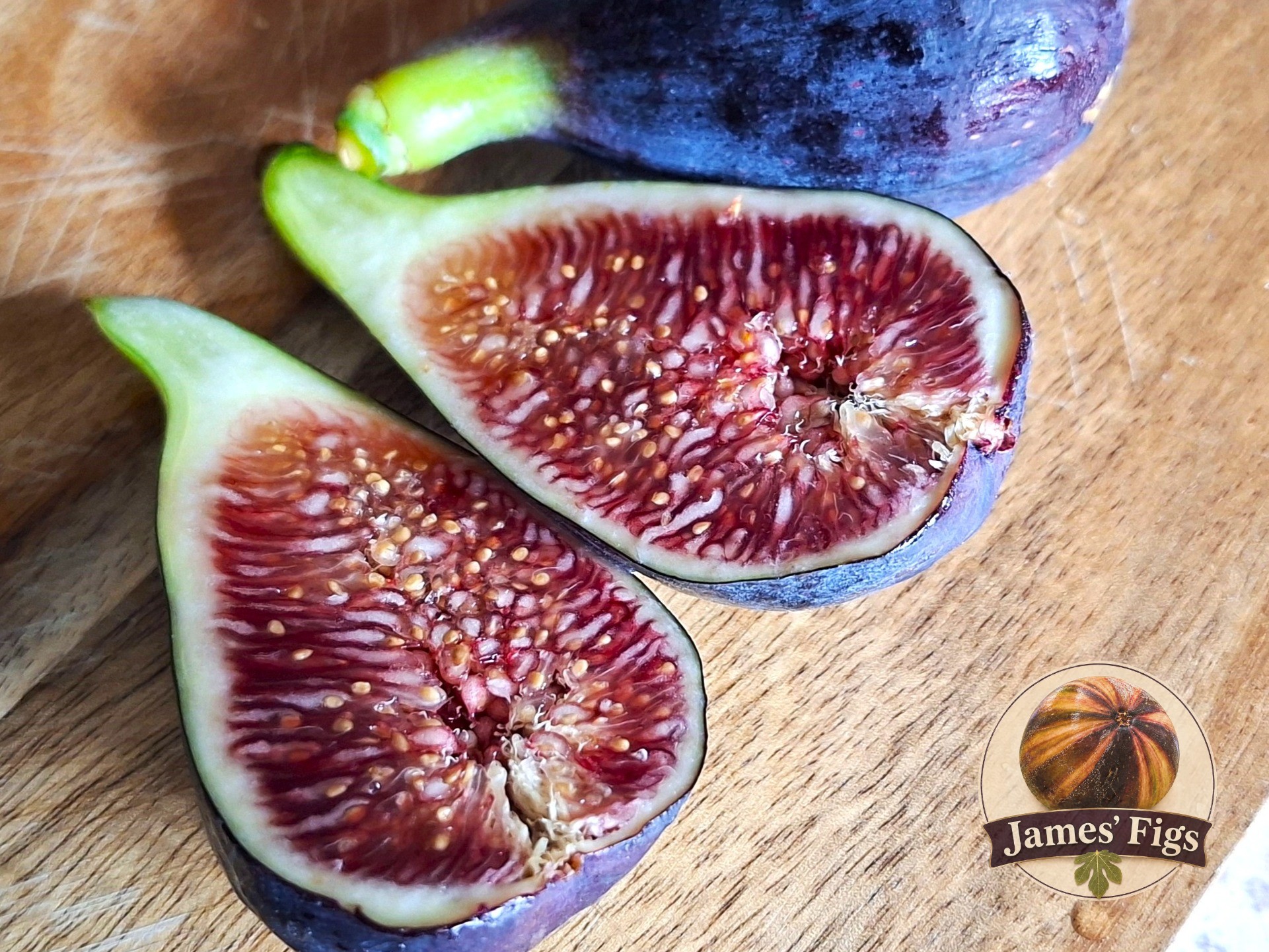 Galicia Negra figs