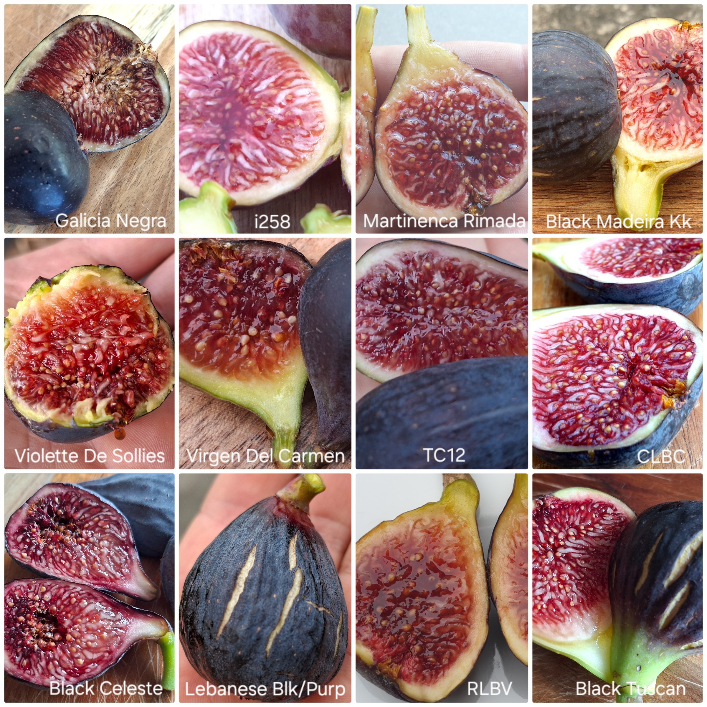 A few dark skinned figs I grow.