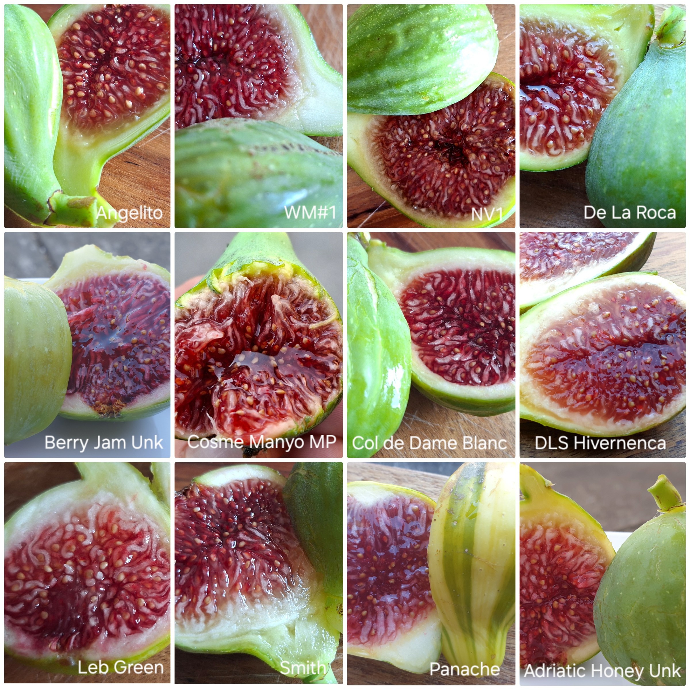 A few green skin, red flesh figs I grow.