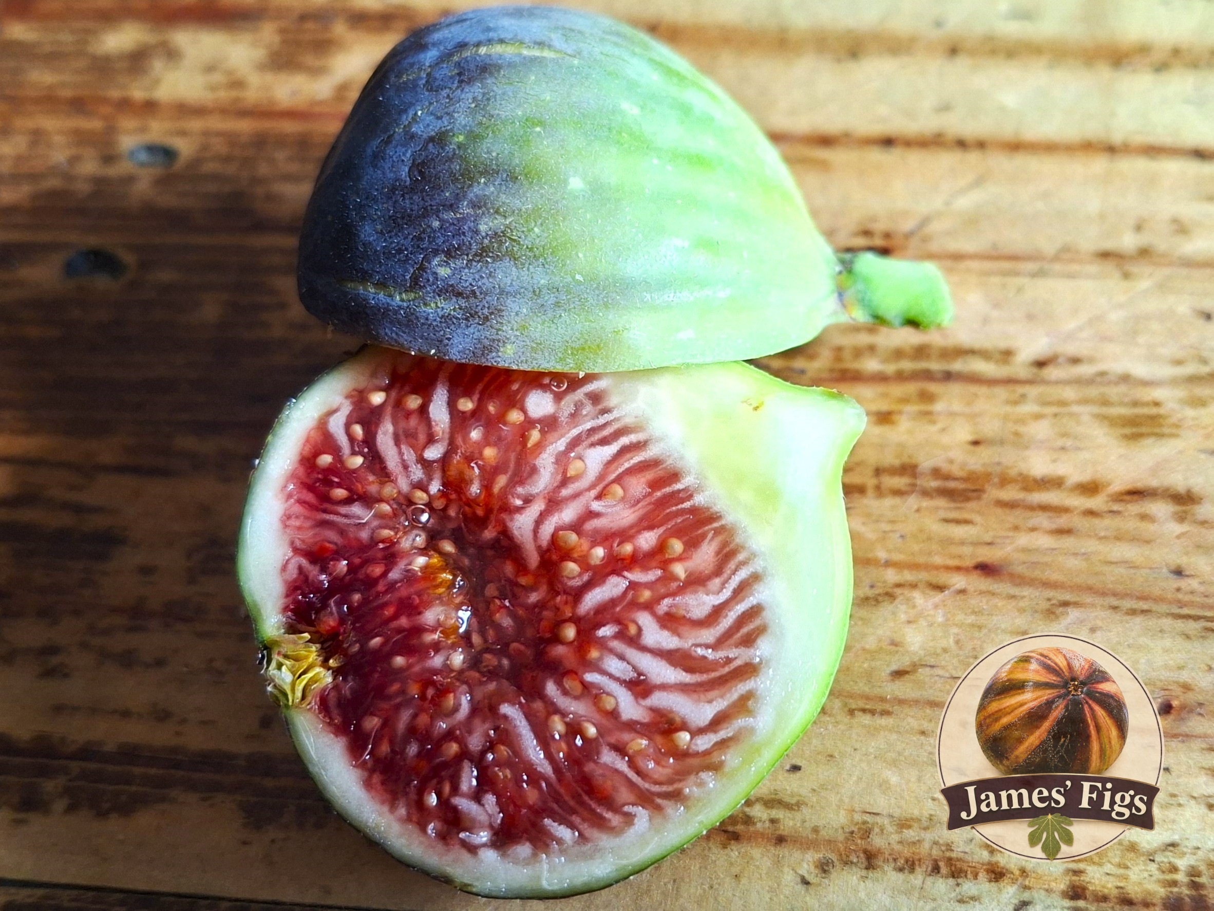Grise De Saint Jean figs
