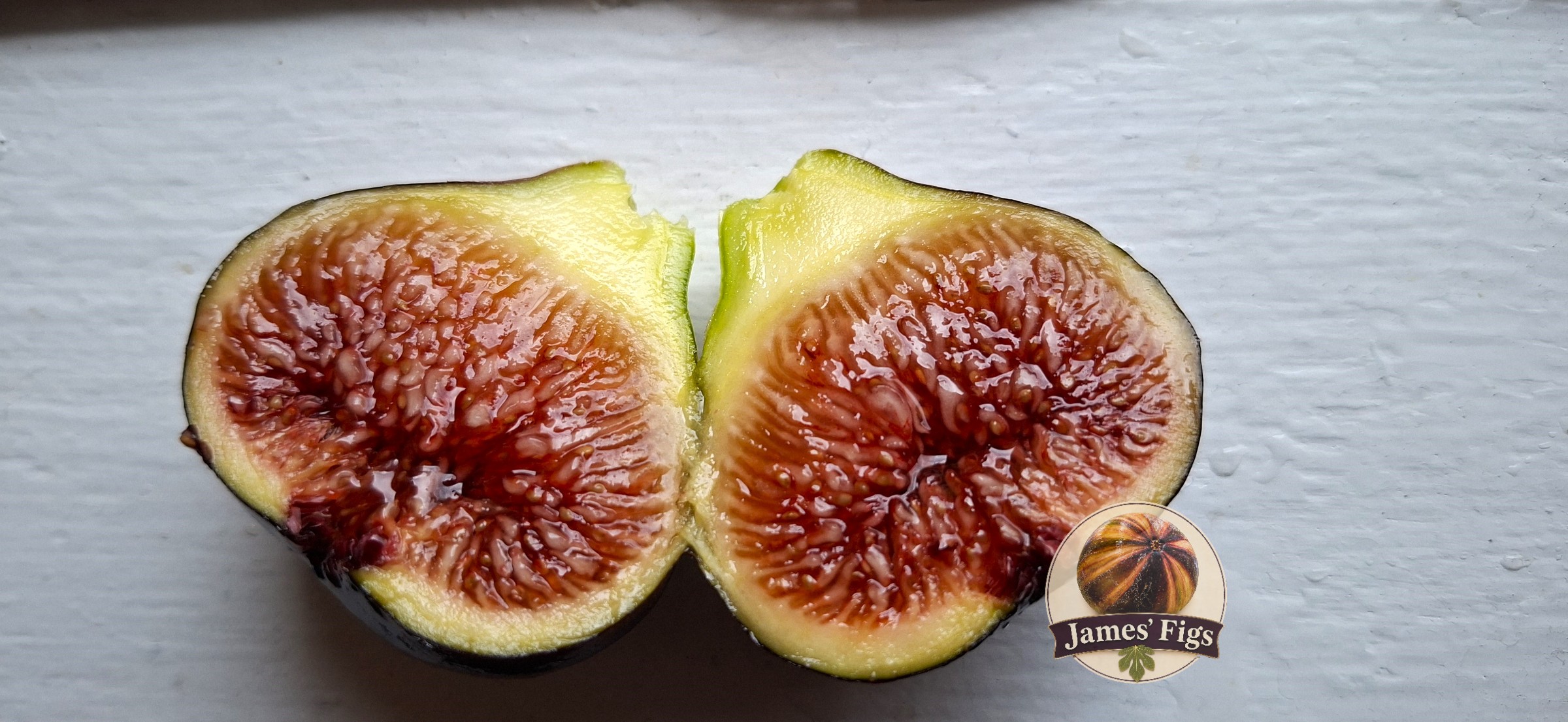 Italian 258 figs