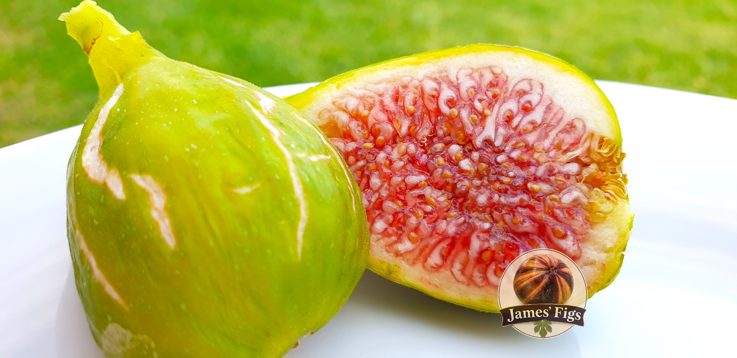 Lebanese Yellow (Bassam) figs