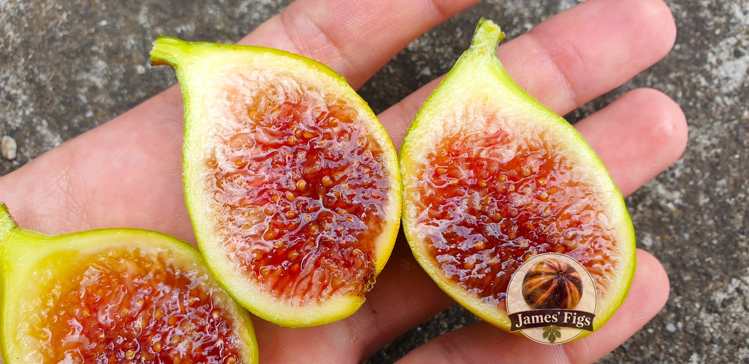 Lebanese Yellow (M.Ali) figs