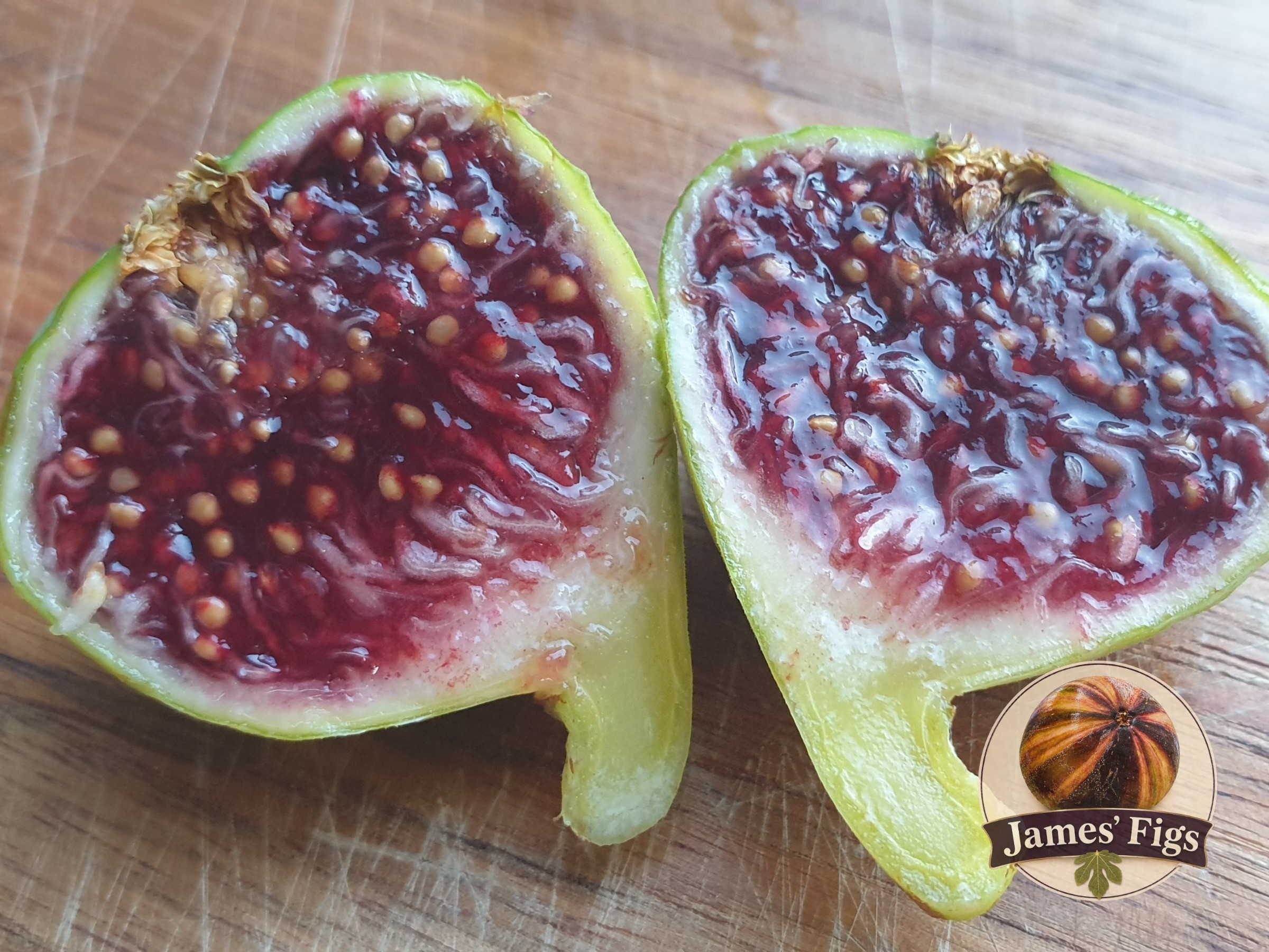 No name yet... figs