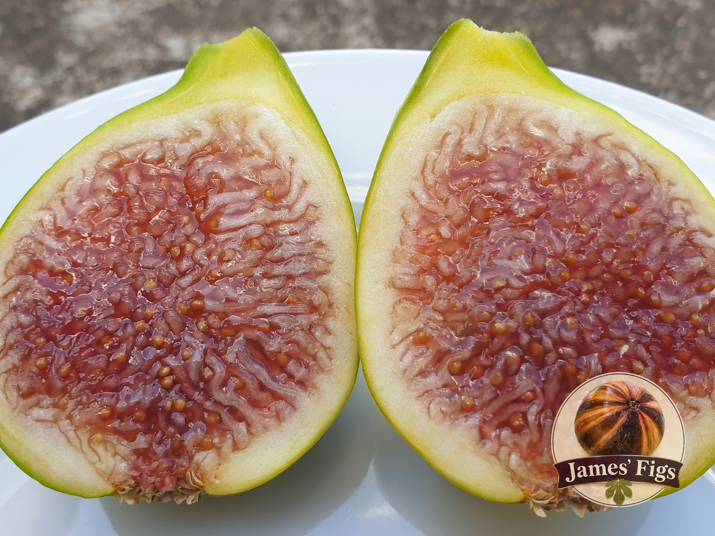 No name yet... figs