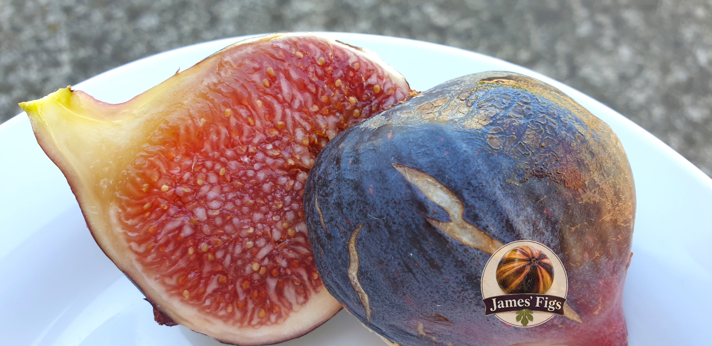 James B Unk figs
