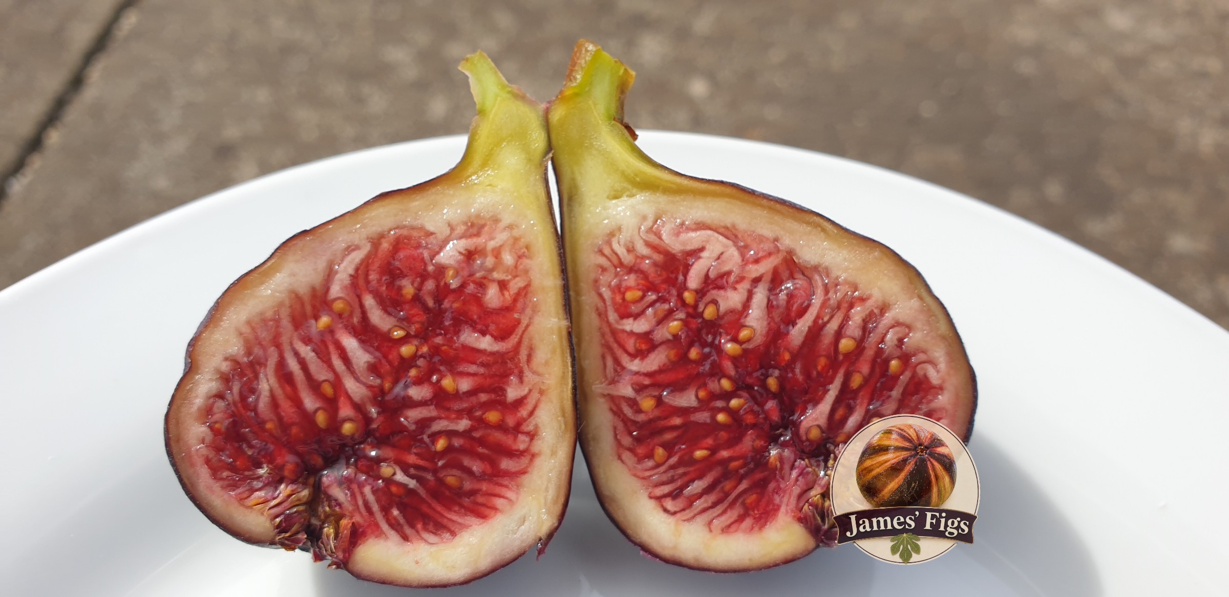 VDS (Not) figs