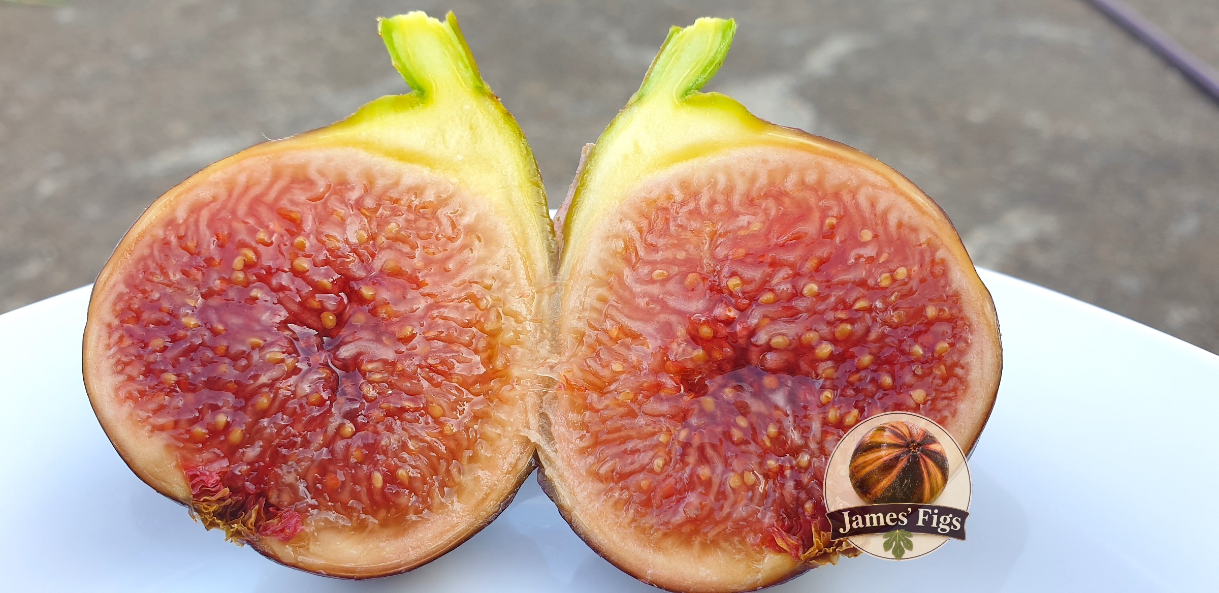 Lebanese Red (Bass) figs