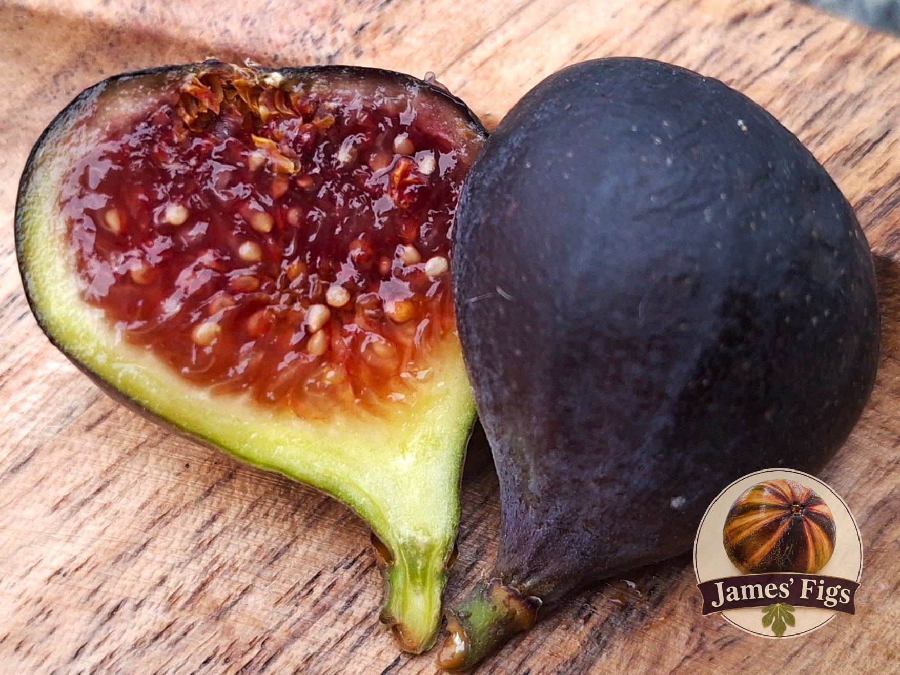 Virgen Del Carmen (MP) figs