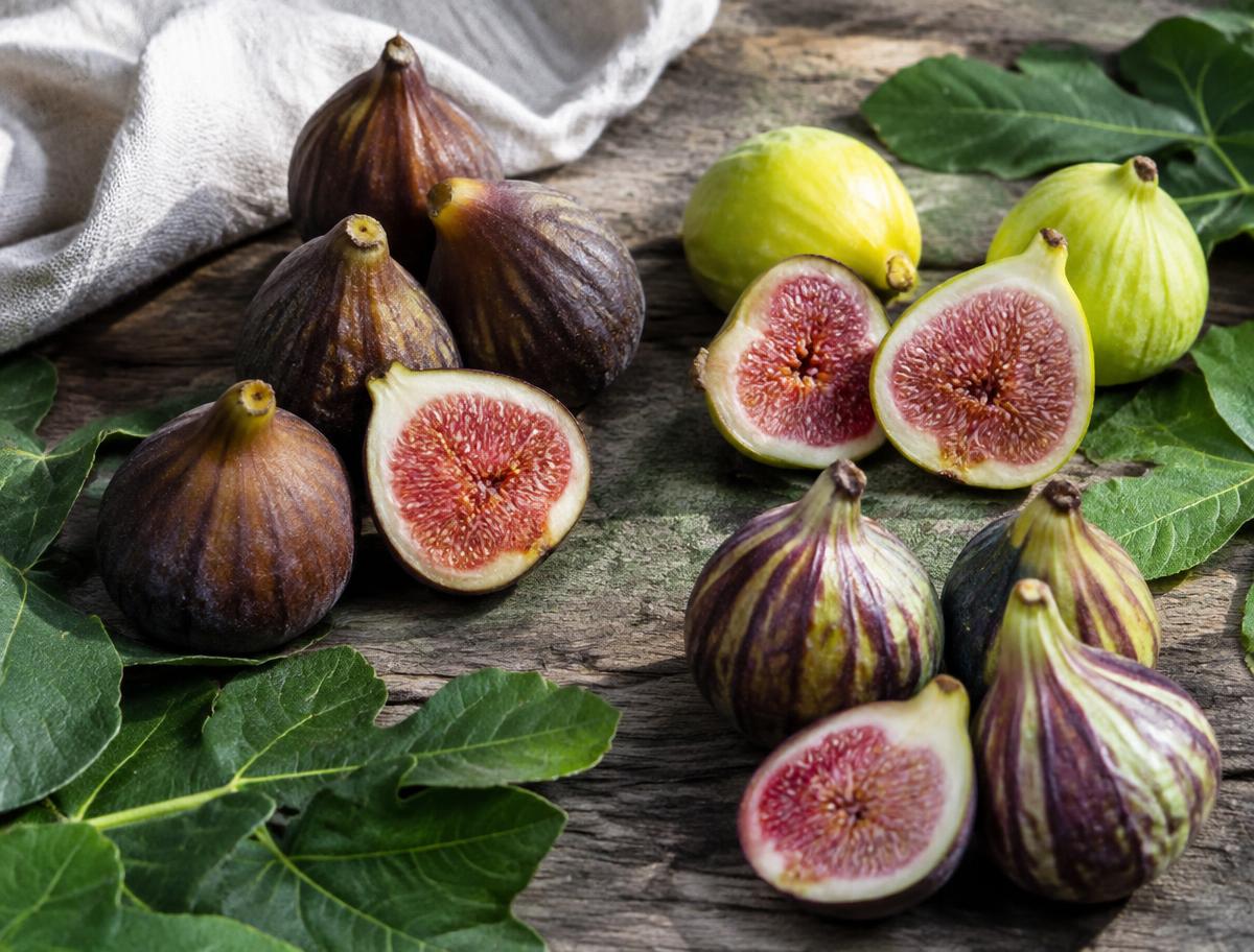 Adlouni figs